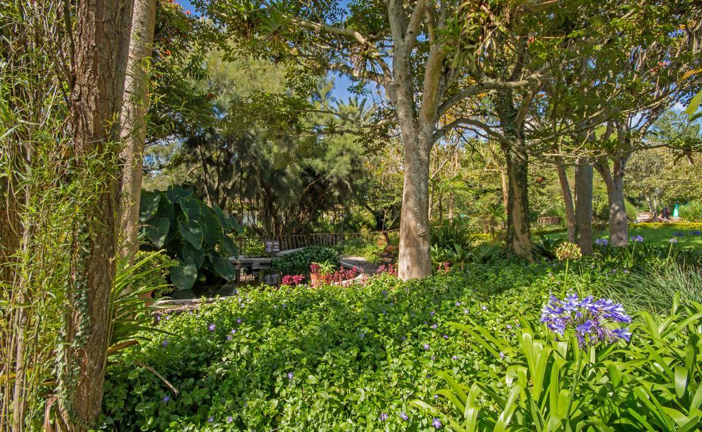 Hacienda Hosteria Chorlavi Ibarra Dış mekan fotoğraf